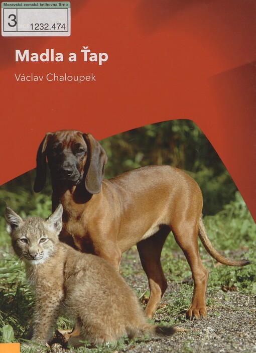 Madla a Ťap