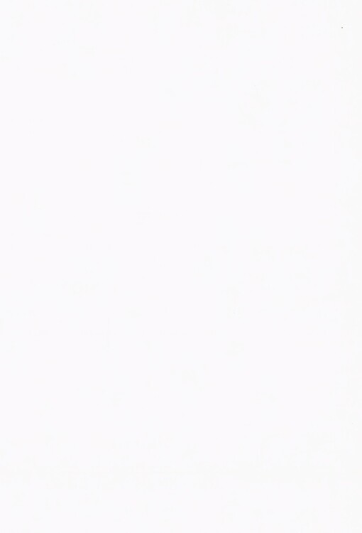 Tabák v čínské společnosti 1600-1900: historická studie o tabáku v čchingské kultuře a společnosti