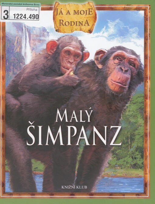 Malý šimpanz