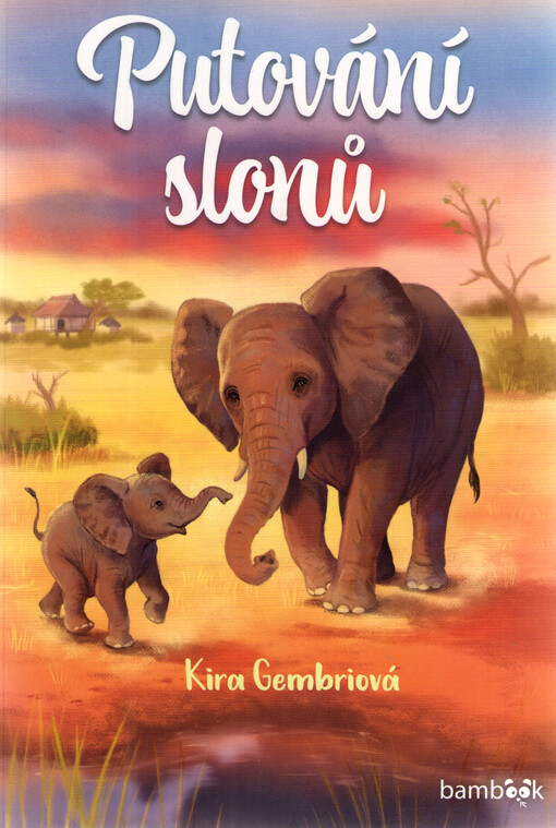 Putování slonů / Kira Gembriová ; ilustrace Jennifer Coulmannová ; překlad Eva Kadlecová
