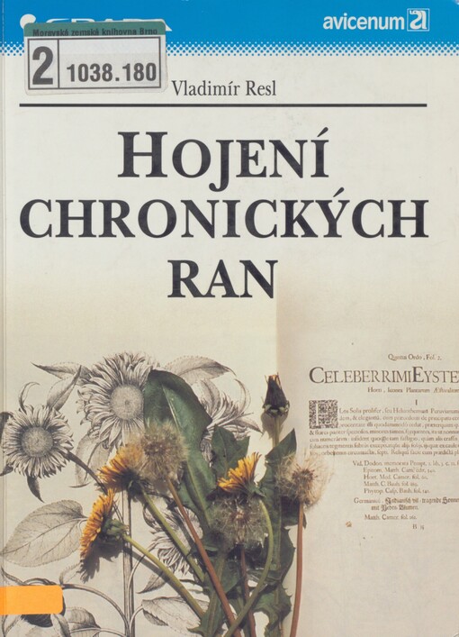 Hojení chronických ran