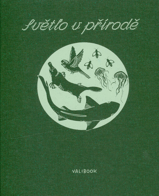 Světlo v přírodě