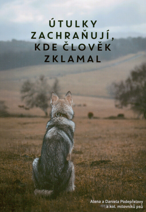 Útulky zachraňují, kde člověk zklamal