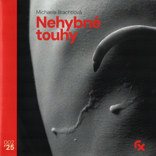 Nehybné touhy