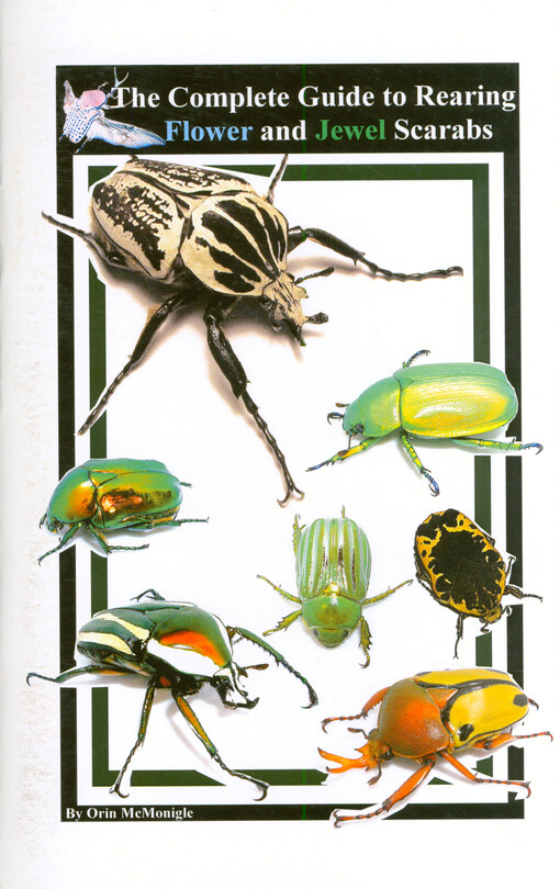 The complete guide to rearing flower and jewel scarabs