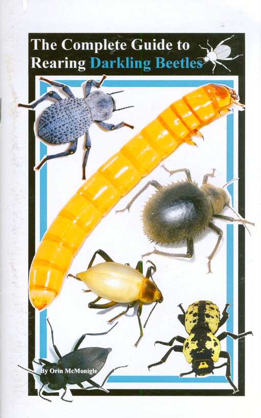 The complete guide to rearing darkling beetles