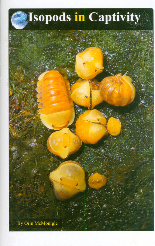 Isopods in captivity