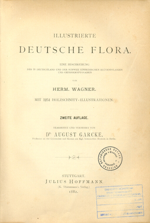 Illustrierte deutsche Flora : eine Beschreibung der in Deutschland und der Schweiz einheimischen Blütenpflanzen und Gefässkryptogamen