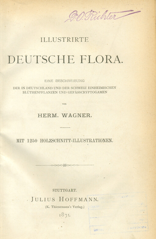 Illustrierte deutsche Flora : eine Beschreibung der in Deutschland und der Schweiz einheimischen Blüthenpflanzen und Gefässcryptogamen