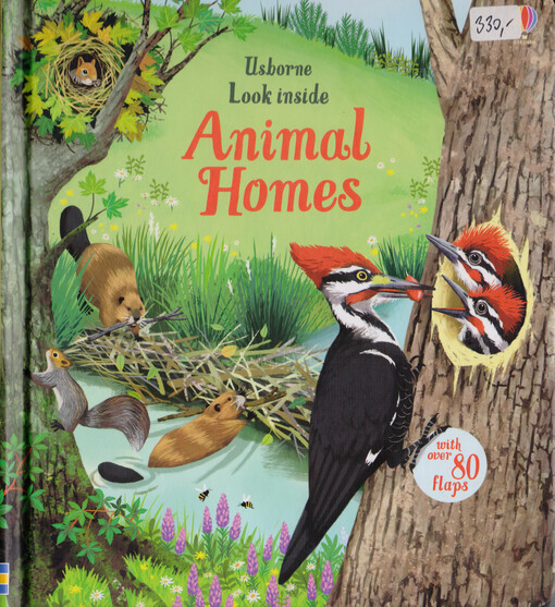 Look inside animal homes