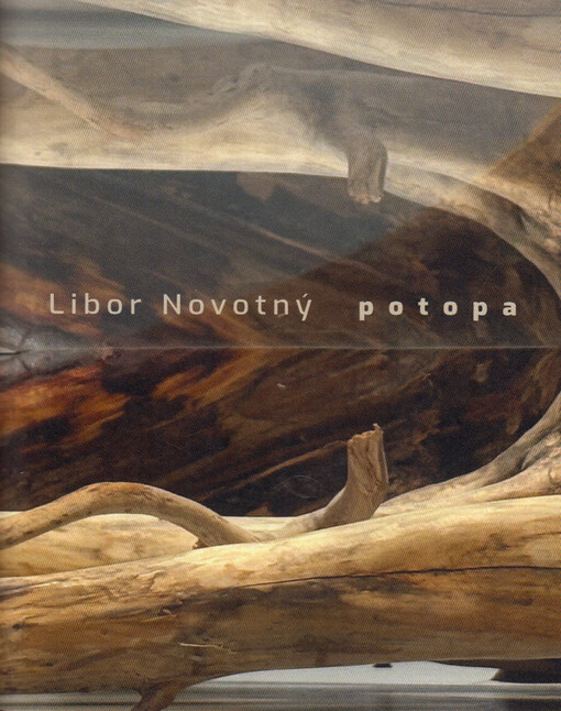 Libor Novotný : potopa