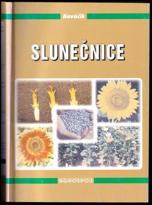 Slunečnice /