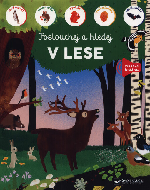 Poslouchej a hledej. V lese