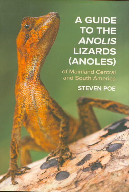 A guide to the Anolis lizards (anoles) of mainland Central and South America