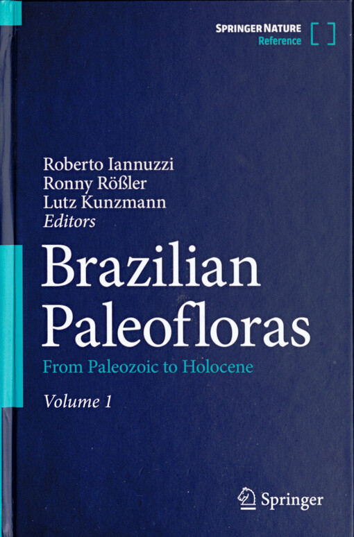 Brazilian paleofloras