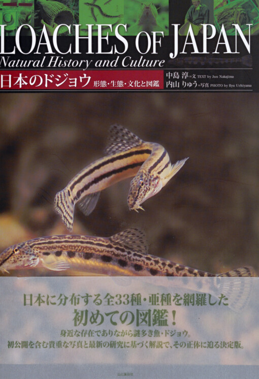 Loaches of Japan