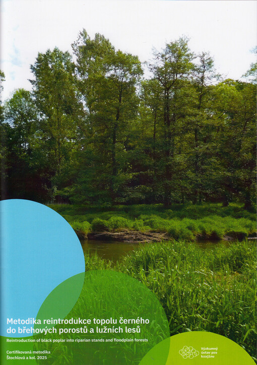 Metodika reintrodukce topolu černého do břehových porostů a lužních lesů = Reintroduction of black poplar into riparian stands and floodplain forests