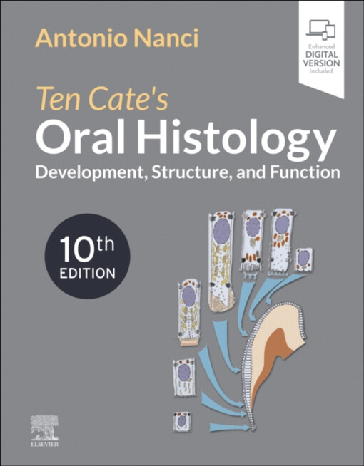 Ten Cate's oral histology : development, structure, and function