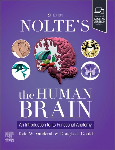 Nolte's the human brain : an introduction to its functional anatomy