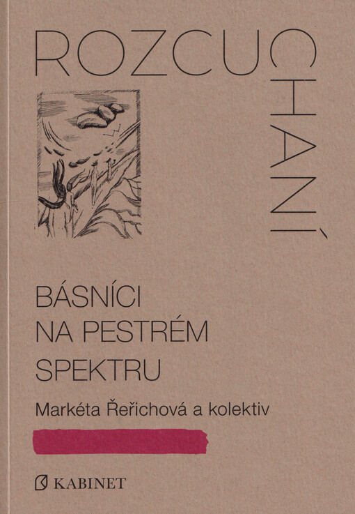 Rozcuchaní : básníci na pestrém spektru