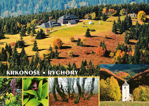 Krkonoše : Rýchory