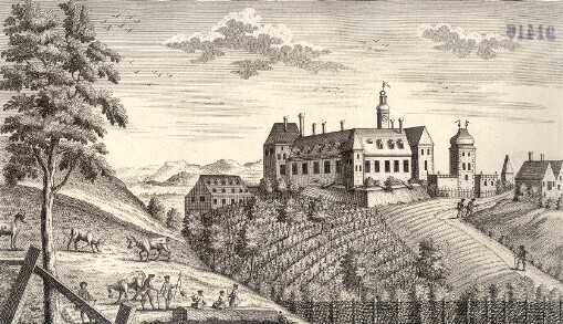 Prospectus arcis Steinachbrunensis haud procul a Nicolaiburgo Moravice urbe in linitibus Moravice versus Austriam sitce Comitib a quinq. ecclesiis propriae