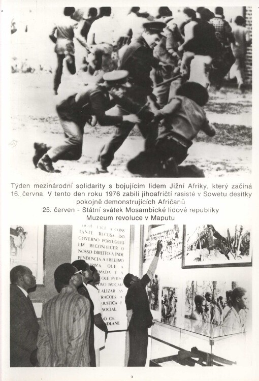 Mezinárodní solidarita s lidem Jižní Afriky