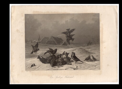 Ein Sperlings-Frühstück