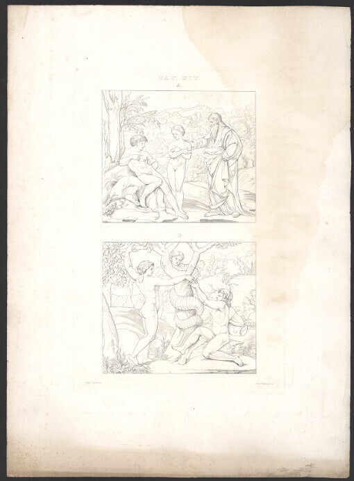 [Adam a Eva]. Tav. XIV. [A. Stvoření Evy, B. Eva podává Adamovi jablko poznání]