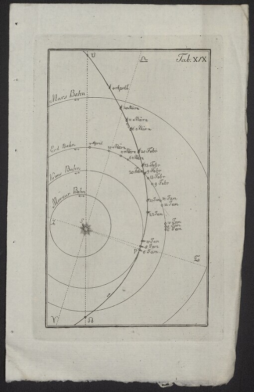 [Allgemeine Naturgeschichte]. Tab. XIX