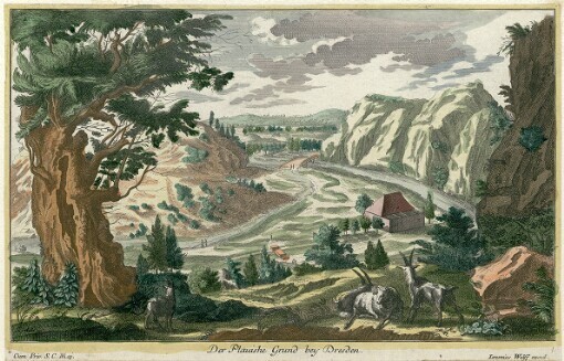 Der Plauishe Grund bey Dresden