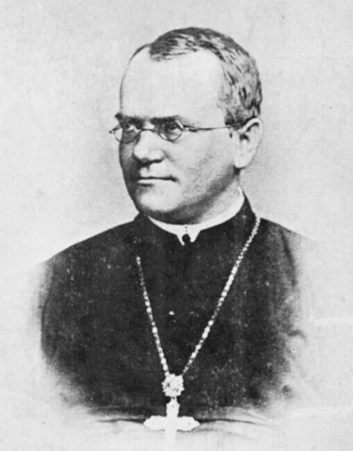 [Johann Gregor Mendel]