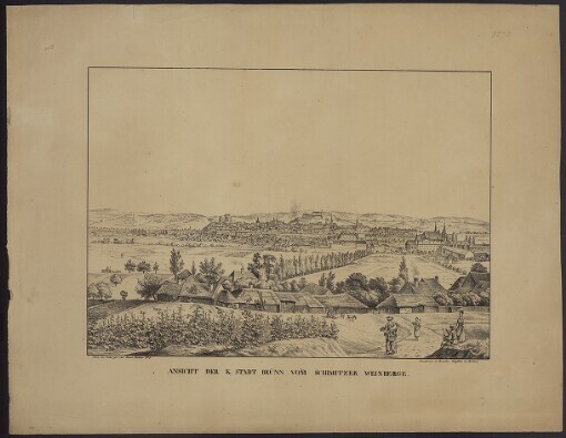Ansicht der K. Stadt Brünn vom Schimitzer Weinberge