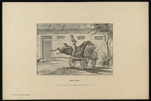 Sándor-Album: Sprung mit dem Irländer über eine Wagenstange ohne Zügel im Stallhofe zu Raro. 14