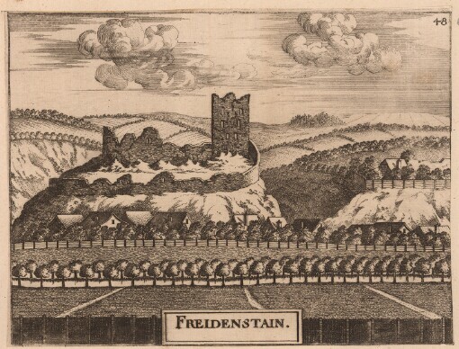 [Topographia Austriae Superioris Modernae: Das ist: Contrafee vnd Abbildung aller Städt, Clöster, Herrschafften vnd Schlösser, deß Etz-Hertzogthumbs Oesterreich, Ob der Ennß, welche Theils nach freyen Aug, Theils nach der Perspectivae Kunst ad vivum deliniert vnd abgezeichnet worden, sambt einer Specification der Jetzigen Herrn Possessorn vnd Besitzer]. Freidenstain