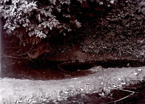 Sirkový pramen Petrovských lázní