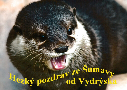 Hezký pozdrav ze Šumavy od Vydrýska