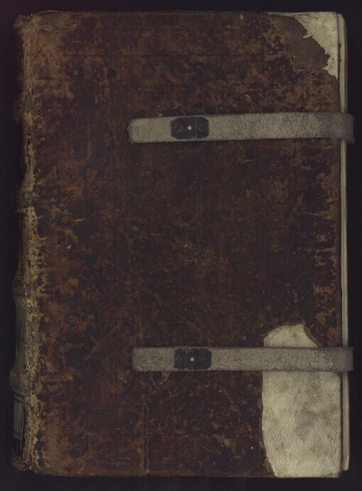 [Sermones dominicales per circulum anni]