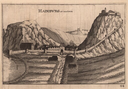 [Topographia Archidvcatvs Avstriae Inf- Modernae- seu: Controfee vnd Beschreibung. aller Stätt Closter vnd Schlösser wie sie anietzo stehen in dem Ertzhertzogtumb unter Osterreich. Das Viertl unter Wiener waldt]. 44. Hainbvrg ab occidente