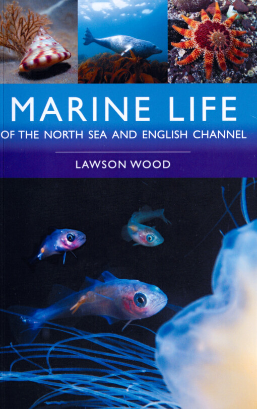 Marine life of the North Sea and English Channel