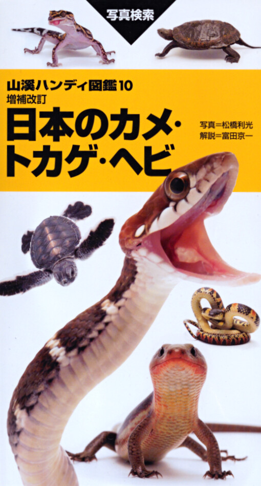 Tortoises, lizards and snakes of Japan