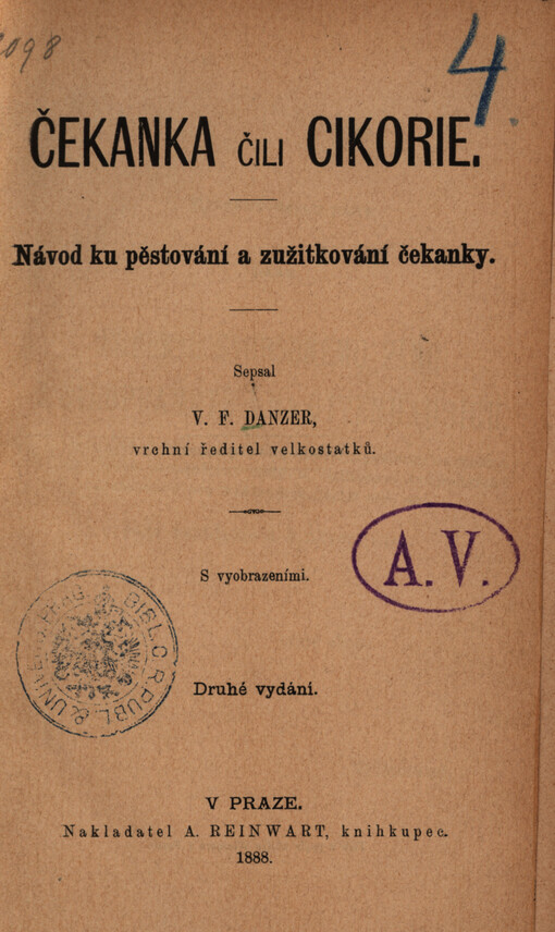 Čekanka, čili, Cikorie : návod ku pěstování a zužitkování čekanky