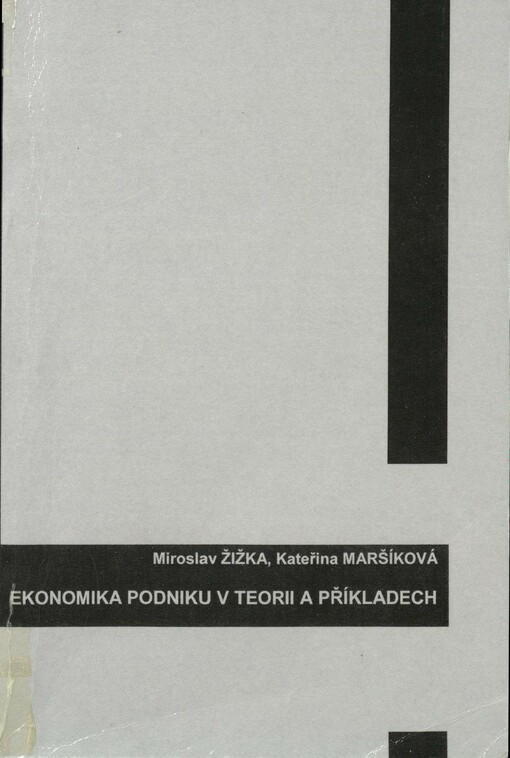 Ekonomika podniku v teorii a příkladech