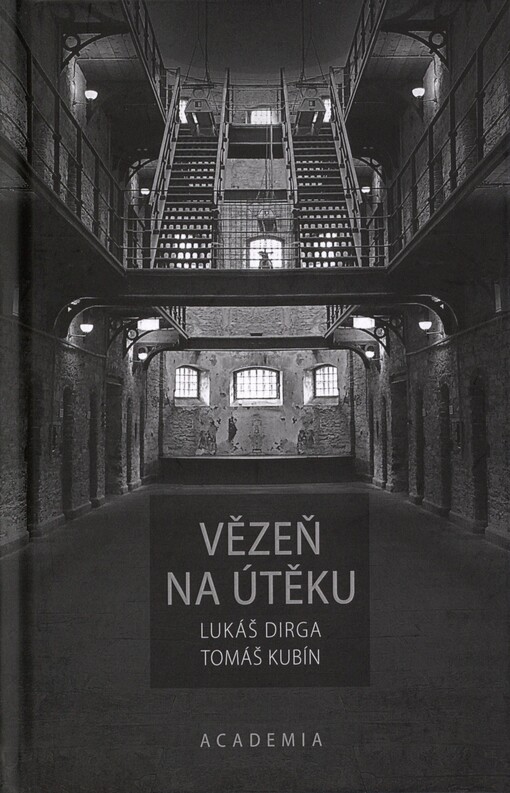 Vězeň na útěku