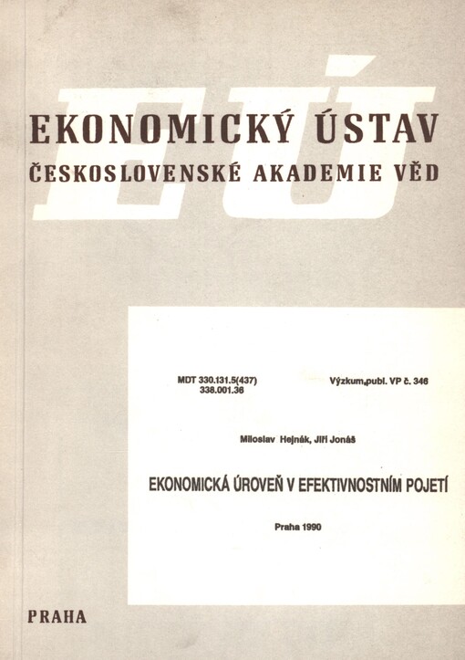 Ekonomická úroveň v efektivnostním pojetí