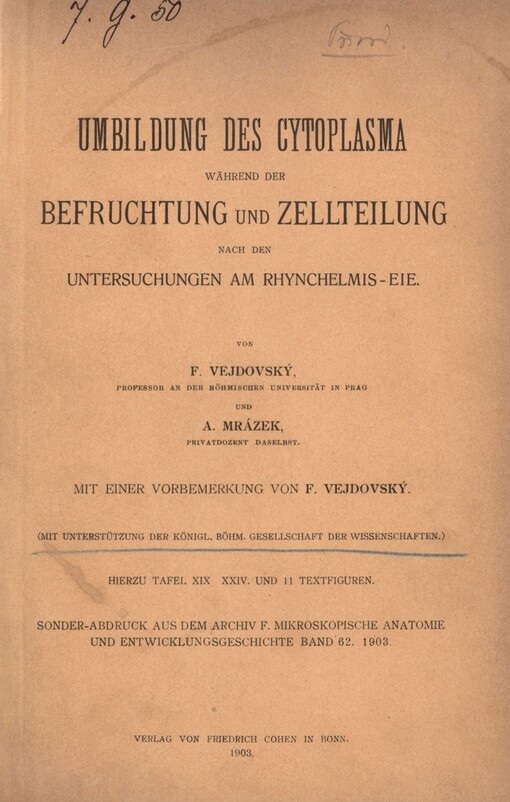 Umbildung des Cytoplasma während der Befruchtung und Zellteilung nach den Untersuchungen am Rhynchelmis-eie