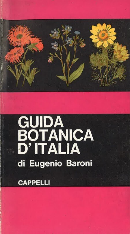 Guida botanica d'Italia : ossia chiavi analitiche per determinare le plante spontanee che crescono nella penisola