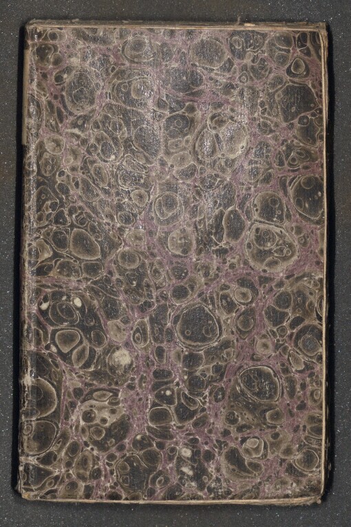 Der nach dem Sinne der katholischen Kirche singende Christ