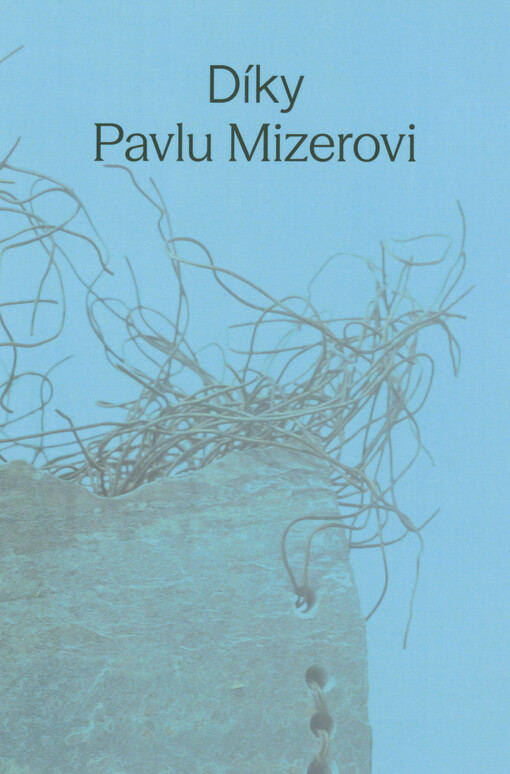 Díky Pavlu Mizerovi