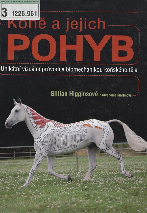 Koně a jejich pohyb: unikátní vizuální průvodce biomechanikou koňského těla